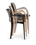 B-8280 Swan Bentwood Armchair