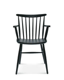 Wand B-1102/1 Bentwood Armchair